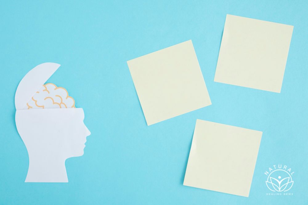 photo blank sticky notes with brain in the open head on blue background